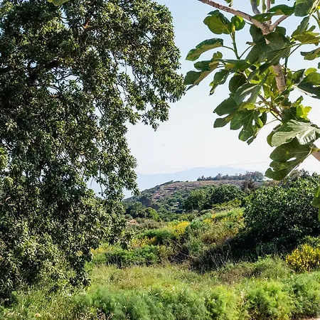 The Pigeon House Ποταμός