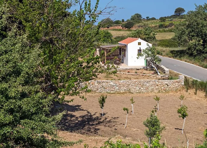 The Pigeon House *